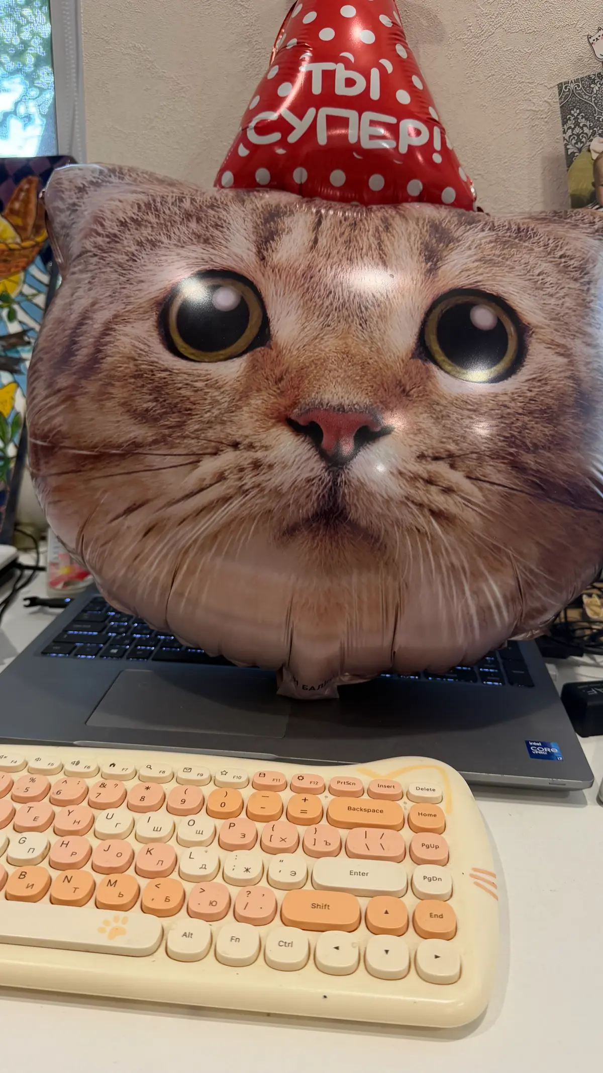 Котик устал 🤗😀 | Сетка — социальная сеть от hh.ru