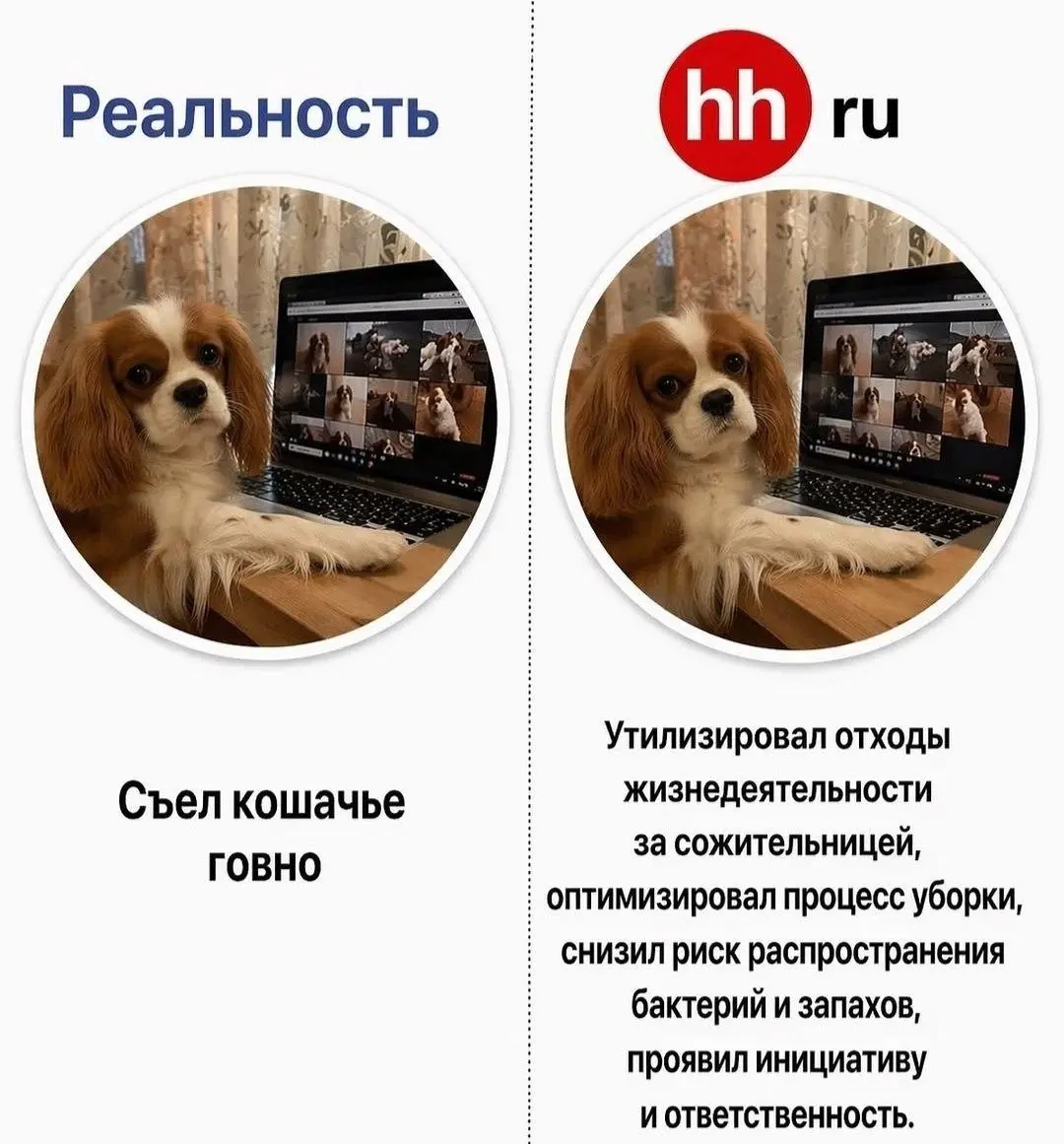 мемов занесла | Сетка — социальная сеть от hh.ru