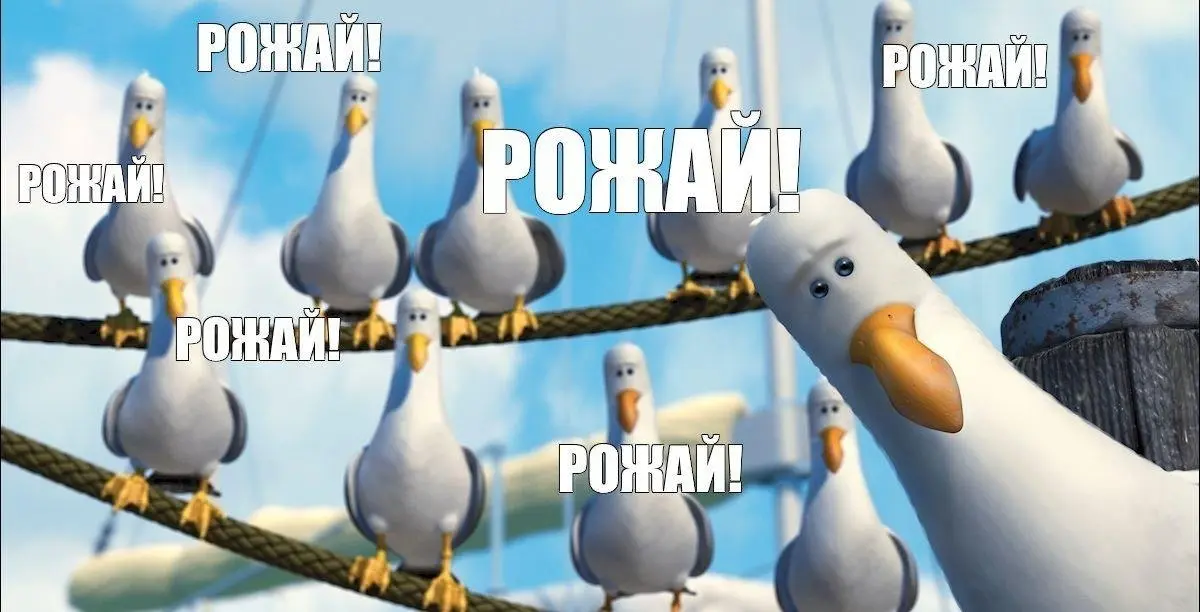 Россиянки перестали рожать из-за фильмов, сериалов и интернета, считает губернатор Курганской области | Сетка — социальная сеть от hh.ru