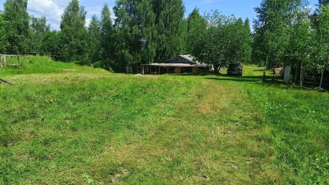 МЫ ЖИВЫ, МЫ НА МЕСТЕ, И МЫ ВСЁ ЕЩЁ НЕ СОШЛИ С УМА (почти)! 🏕️
Привет, наши любимые подписчики! Мы уже заехали в лагерь, и если вы думаете, что археологи только копают — вы глубоко ошибаетесь | Сетка — социальная сеть от hh.ru