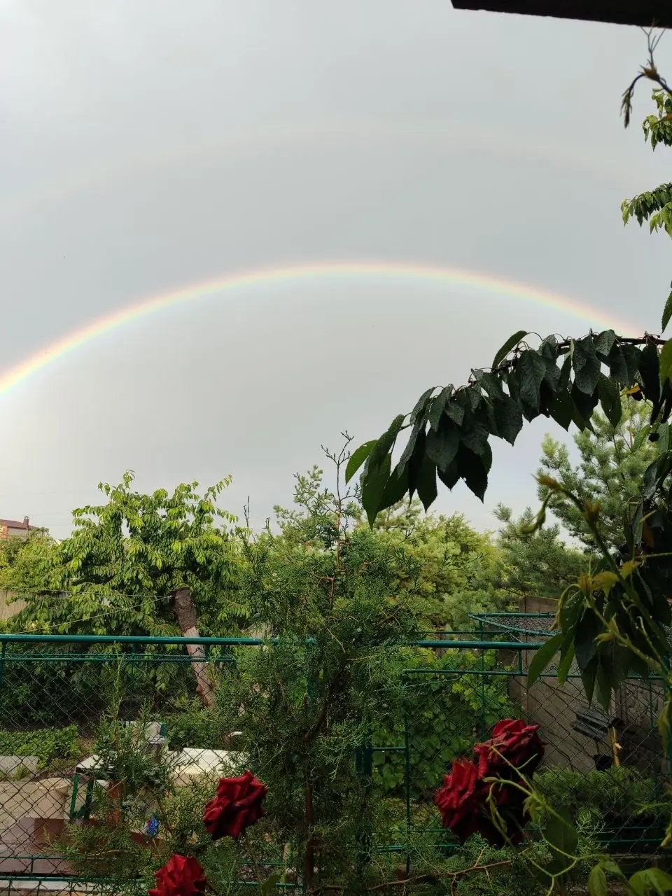 Добрый вечер!
Завтра в Донецке от +12℃ до +26℃
🌤 Небольшая облачность
• 00:00: 🌙️ +14℃ 🌀 40 ☂️ 2%
• 03:00: 🌙️ +13℃ 🌀 47 ☂️ 2%
• 06:00: ☀️️ +13℃ 🌀 54 ☂️ 2%
• 09:00: ☀️️ +21℃ 🌀 47 ☂️ 2%
• 12:00: 🌤️ +24℃... | Сетка — социальная сеть от hh.ru
