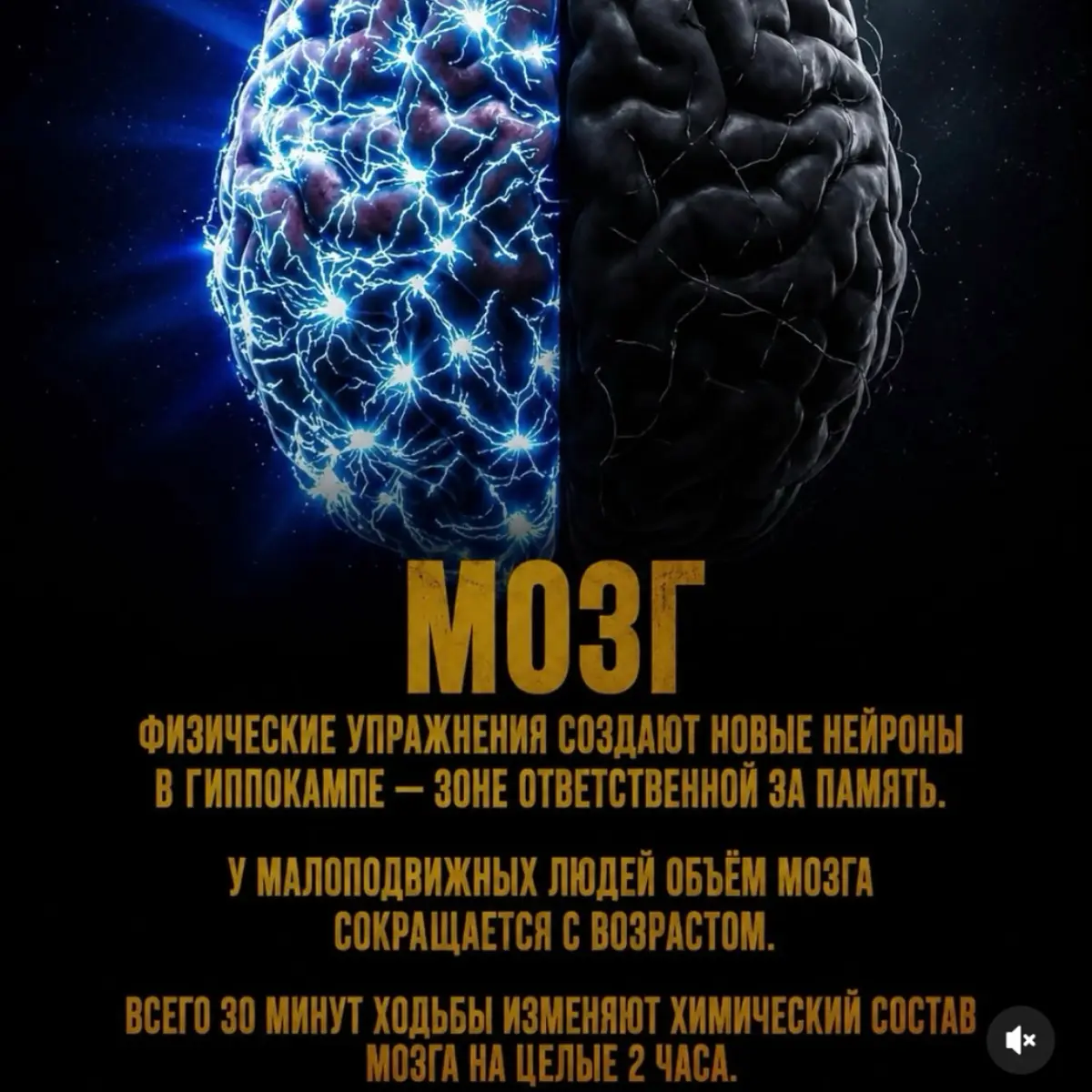 По ощущениям 3 минуты борьбы намного круче мозги меняют.⁣⁣⠀
#мозг #зож⁣⁣ #мышление #мотивация #дисциплина | Сетка — социальная сеть от hh.ru