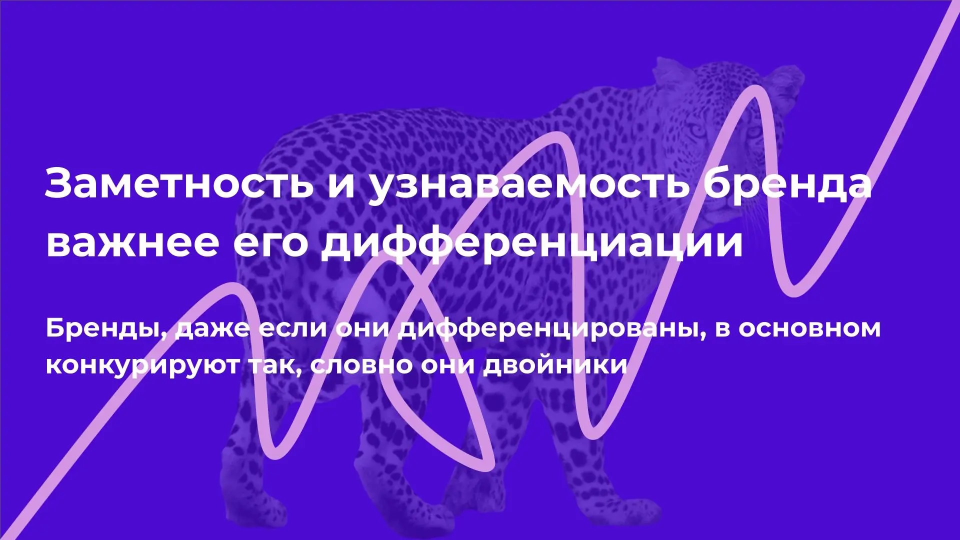 Заметность и узнаваемость бренда важнее его дифференциации | Сетка — социальная сеть от hh.ru