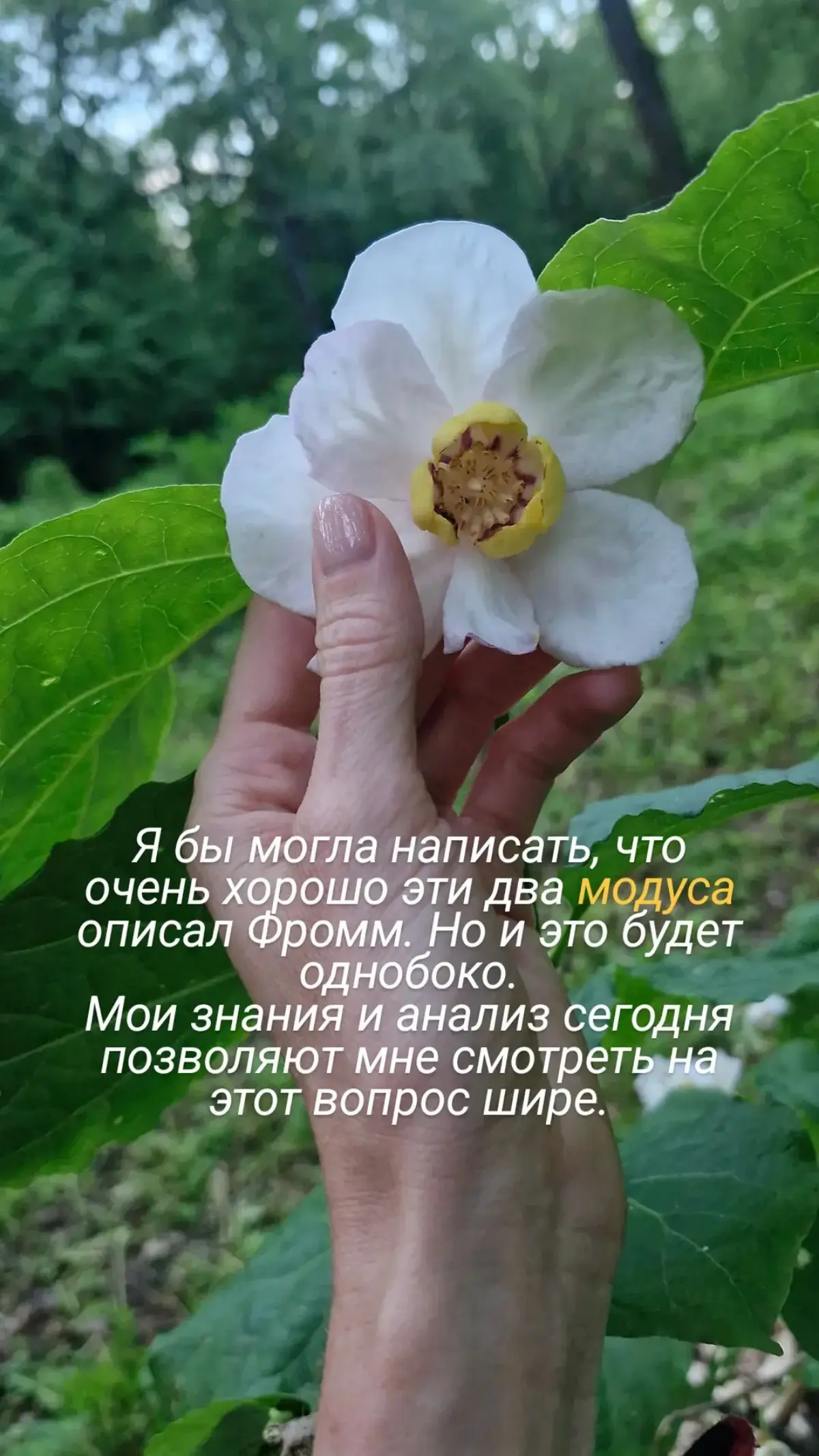 Две парадигмы существования
#психология #осознанность | Сетка — социальная сеть от hh.ru