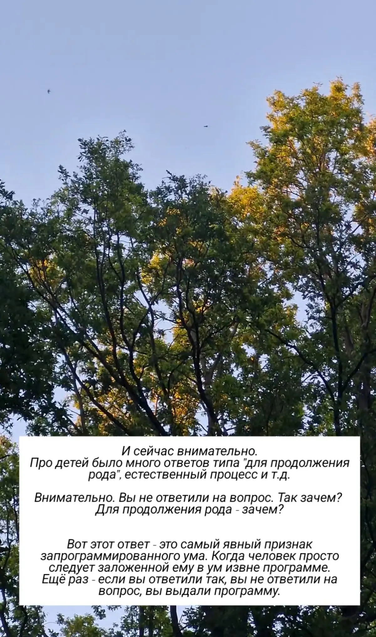 Две парадигмы существования
#психология #осознанность | Сетка — социальная сеть от hh.ru