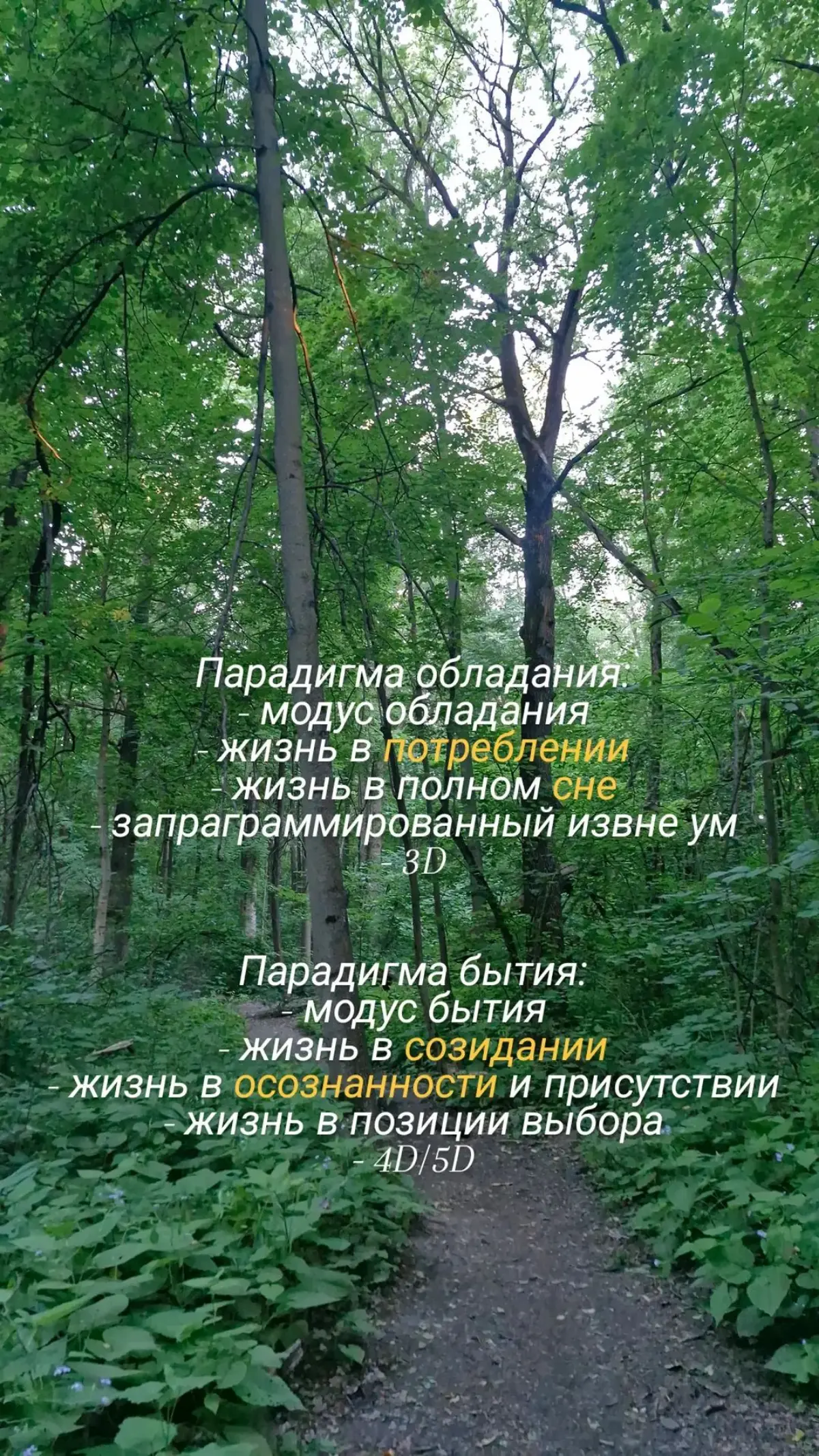 Две парадигмы существования
#психология #осознанность | Сетка — социальная сеть от hh.ru