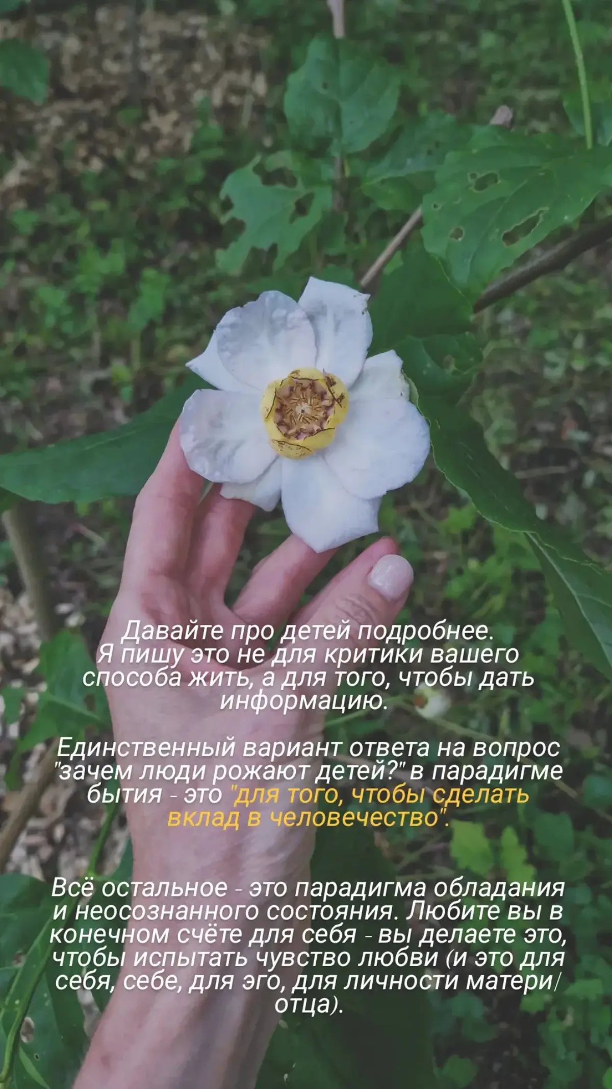 Две парадигмы существования
#психология #осознанность | Сетка — социальная сеть от hh.ru