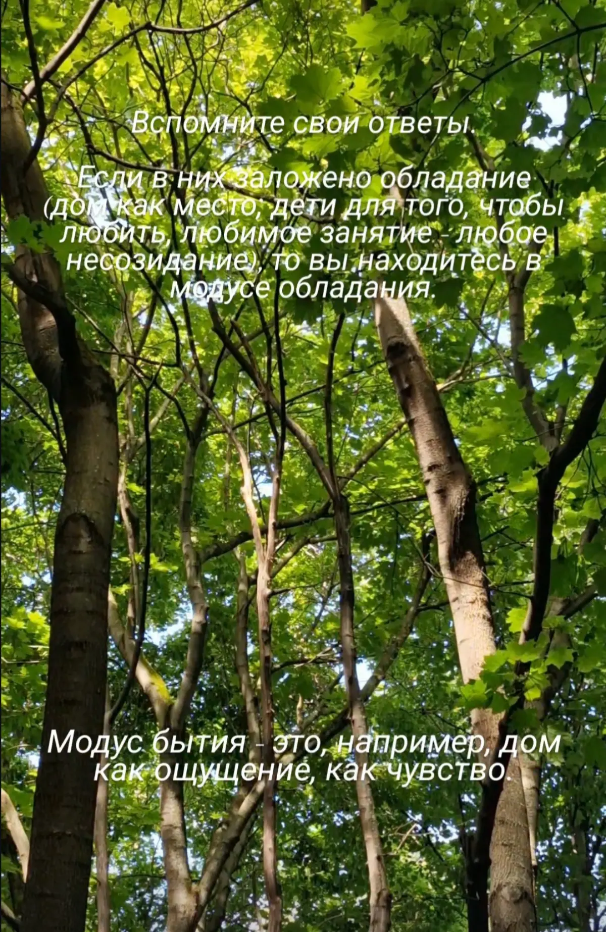 Две парадигмы существования
#психология #осознанность | Сетка — социальная сеть от hh.ru