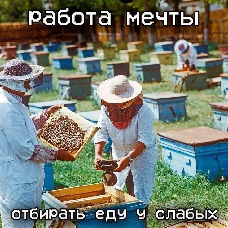 Ловите вакансии для пчеловодов 🐝
#работа #GdeRabota #вакансии | Сетка — социальная сеть от hh.ru