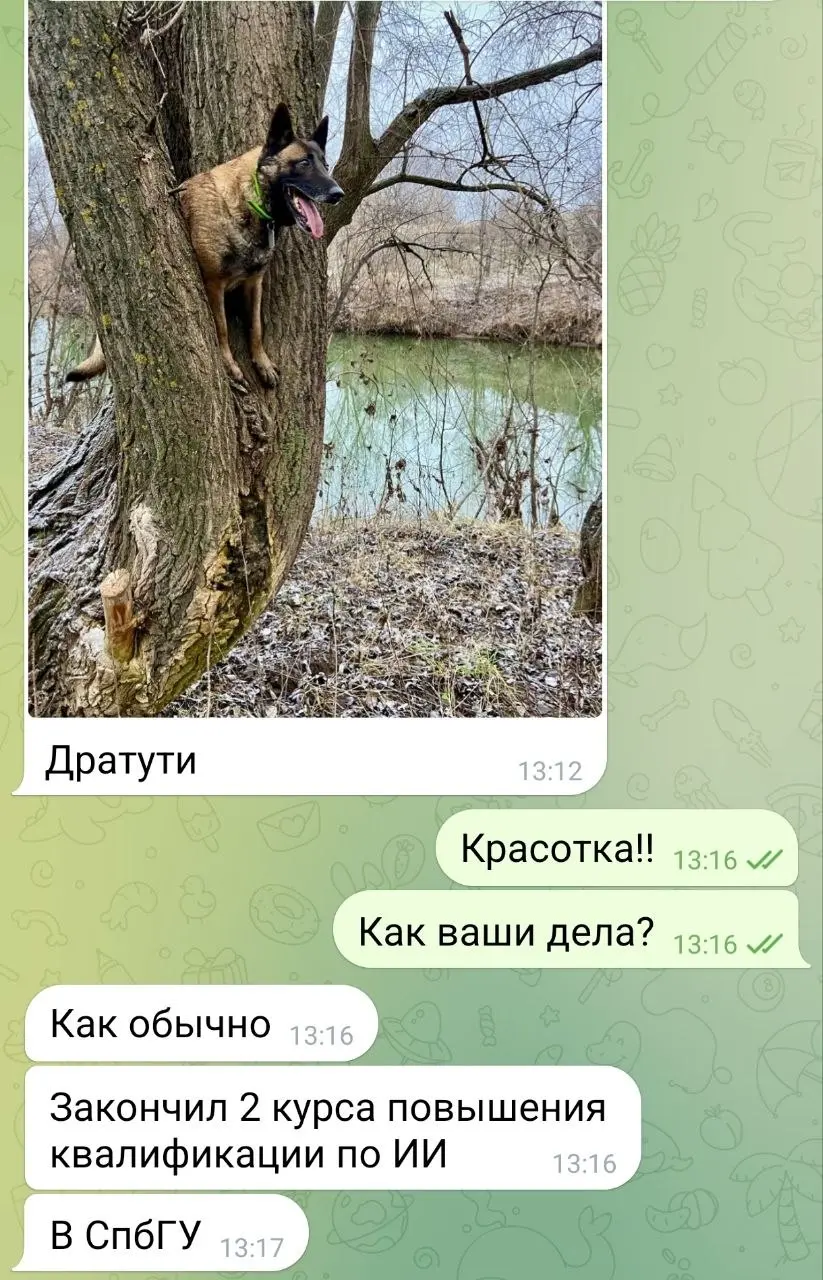 Предыдущий пост про Дусю
Любимый клиент Григорий снова прислал фото Дуси, которую в свое время нашли на помойке и теперь у нее не жизнь, а малина 😍
К тому же у нее дополнительно прекрасная компания: л... | Сетка — социальная сеть от hh.ru