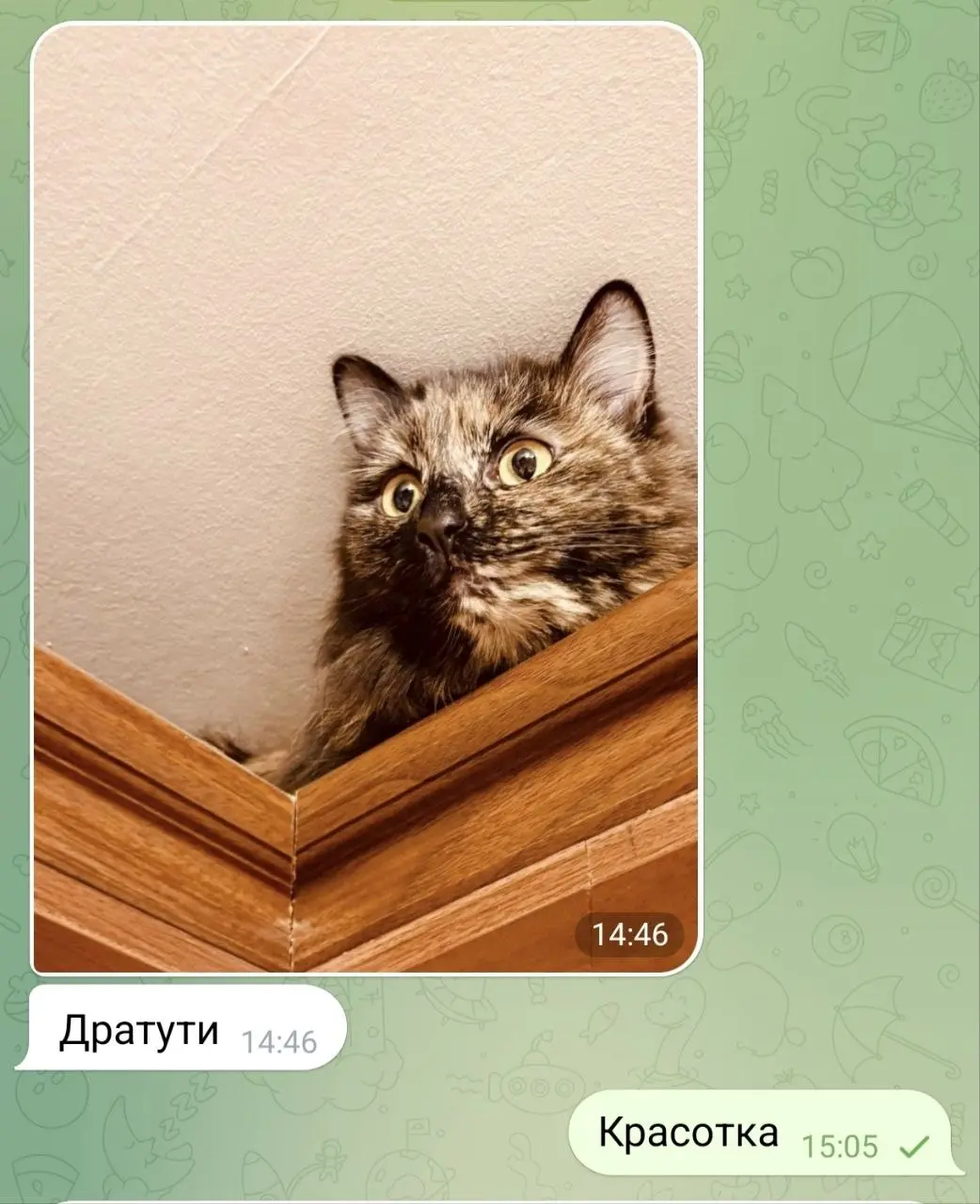 Предыдущий пост про Дусю
Любимый клиент Григорий снова прислал фото Дуси, которую в свое время нашли на помойке и теперь у нее не жизнь, а малина 😍
К тому же у нее дополнительно прекрасная компания: л... | Сетка — социальная сеть от hh.ru