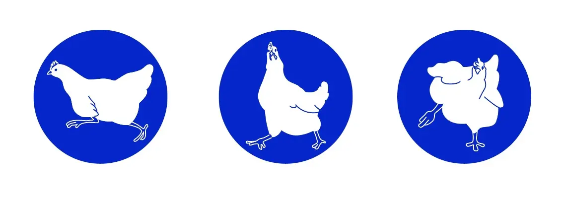 Елена Васильева
