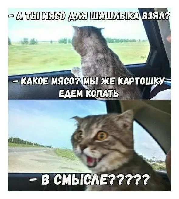 Разговор со своим внутренним зверем | Сетка — социальная сеть от hh.ru