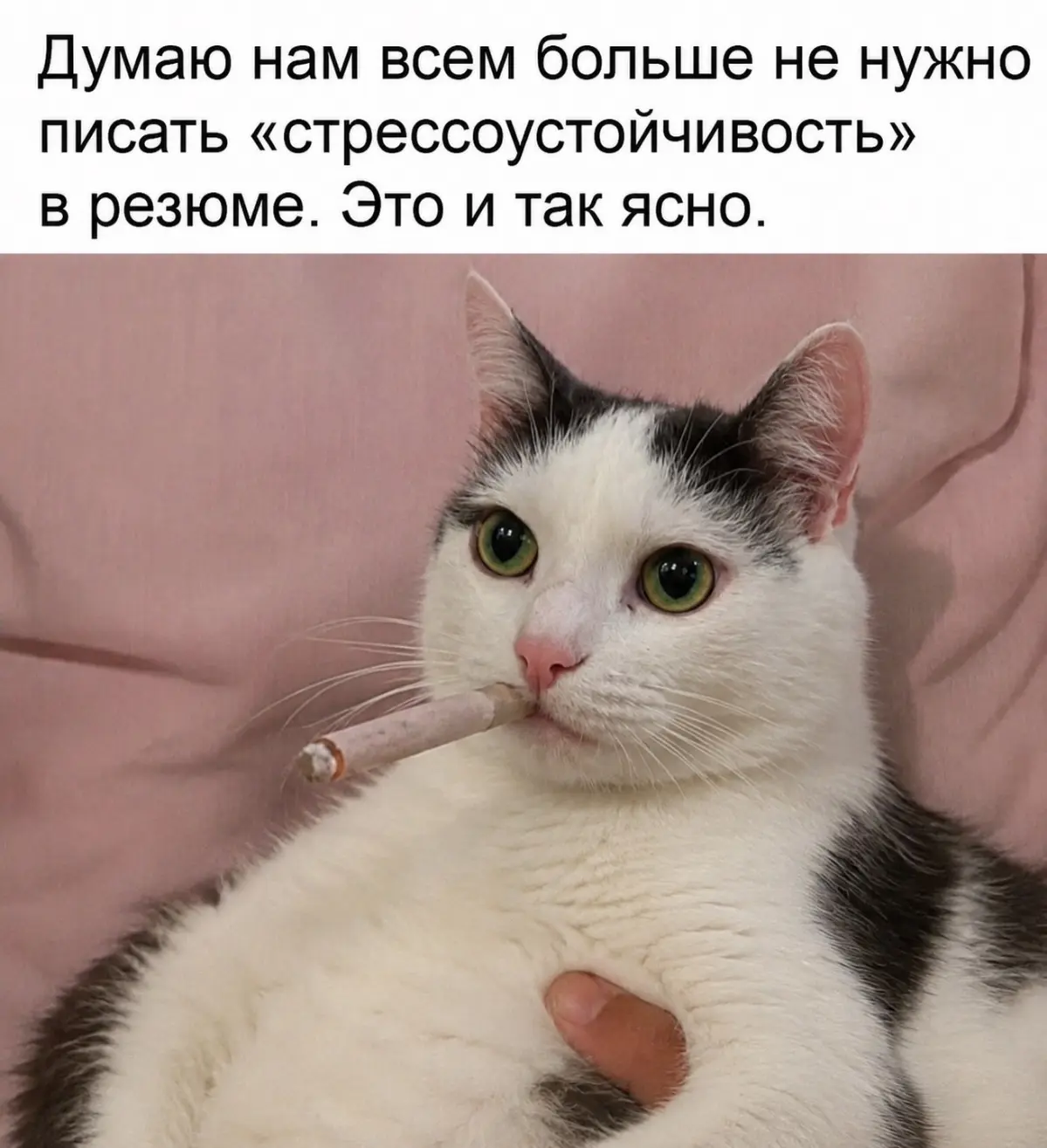 Про бензинн | Сетка — социальная сеть от hh.ru