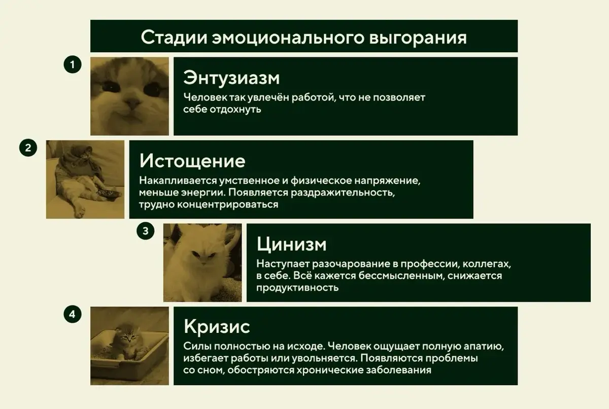 .,менеджер по СЧАСТЬЮ и вайб-менеджер) ННАДО! | Сетка — социальная сеть от hh.ru