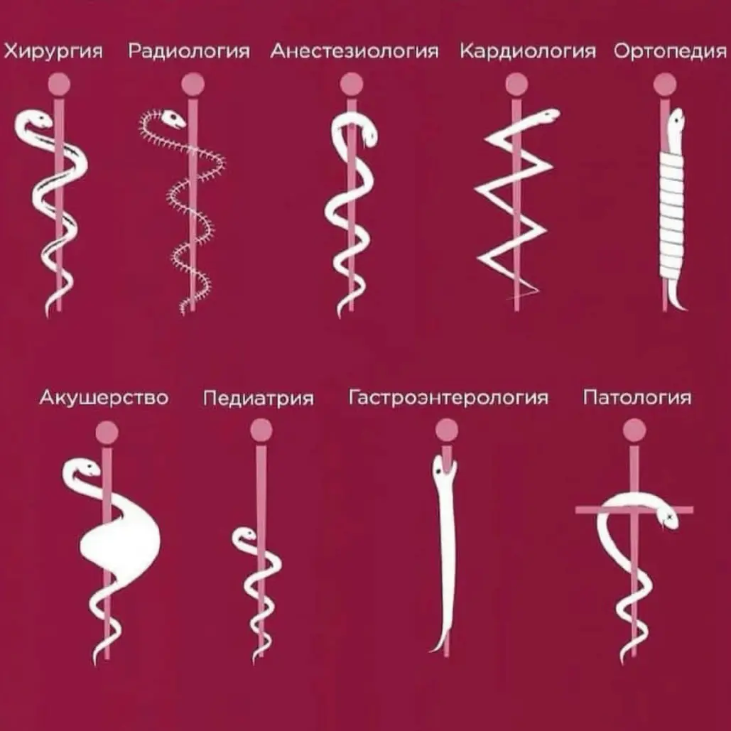Занимательные змеи. | Сетка — социальная сеть от hh.ru