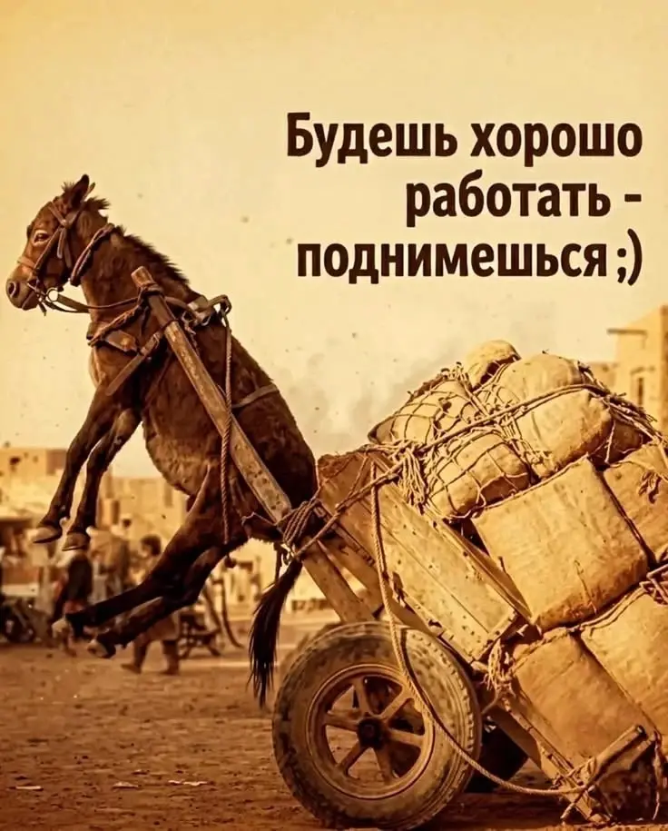 Классика) | Сетка — социальная сеть от hh.ru