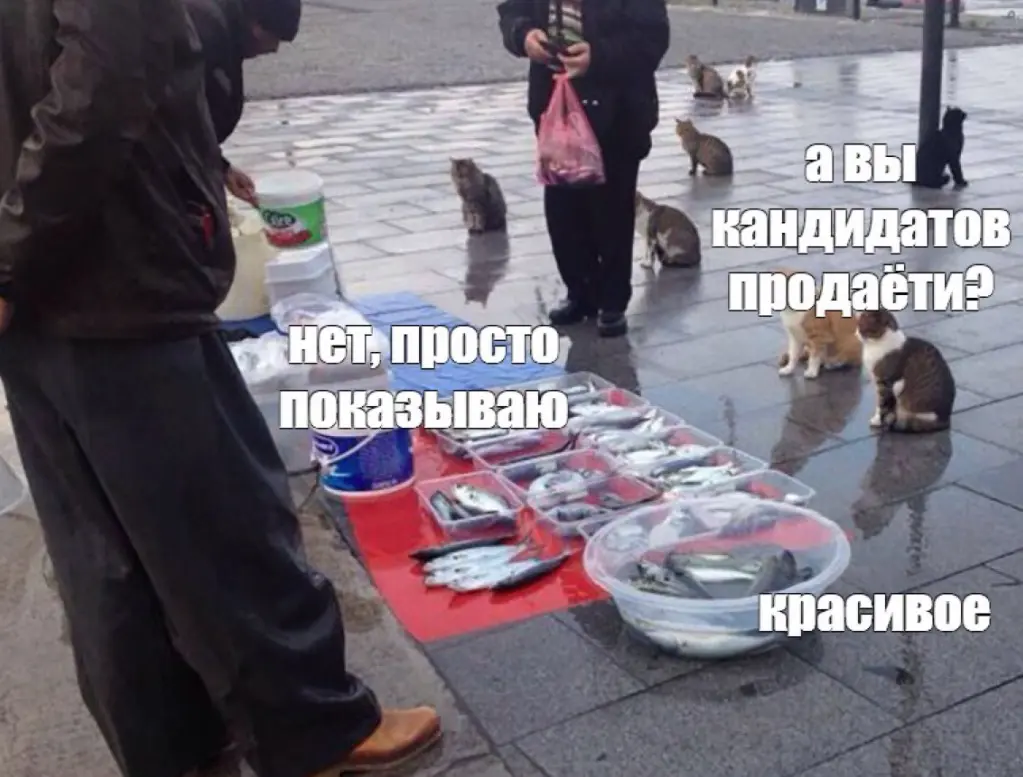 Почему июнь-август считается мертвым сезоном на HH и как закрывать вакансии в этот период
"Отклики закончились, рынок умер, вакансия висит второй месяц" | Сетка — социальная сеть от hh.ru