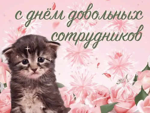 Поздравляю с 31 февраля 🎇🥂 | Сетка — социальная сеть от hh.ru