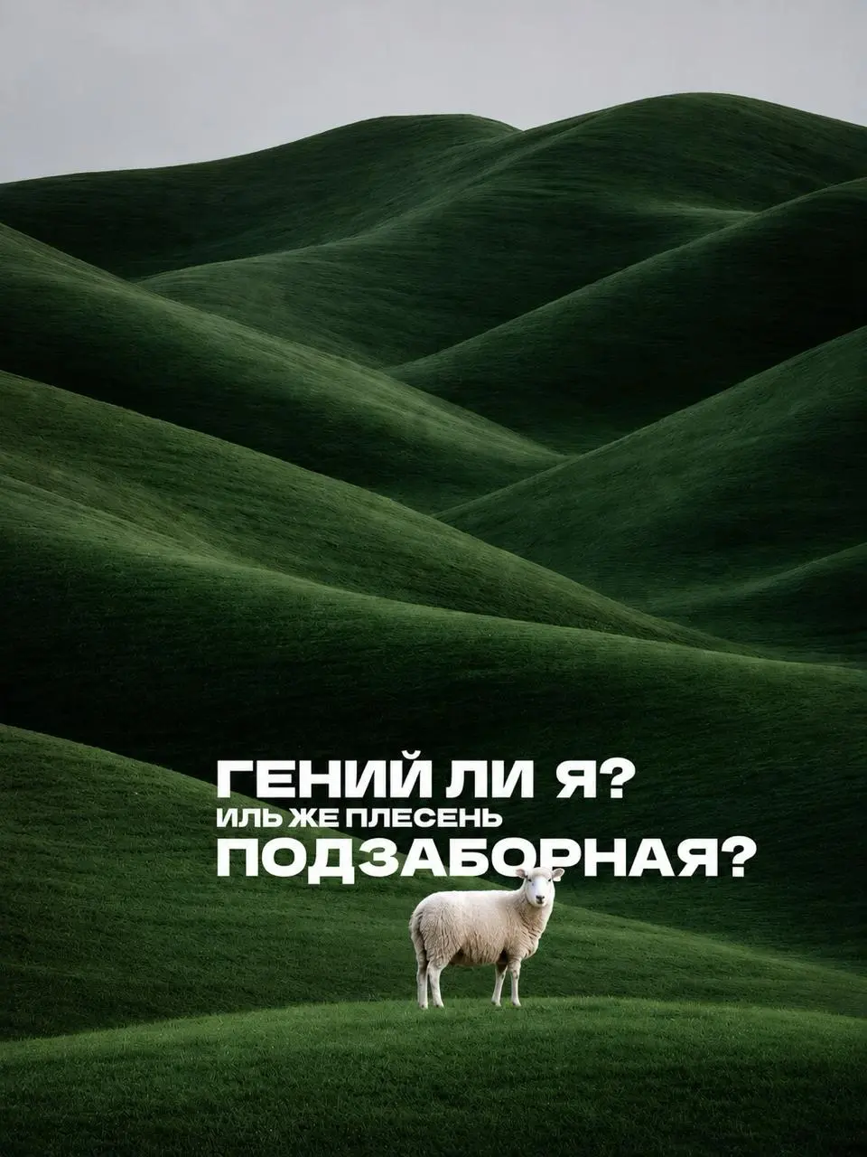 Синдром самозванца — это когда даже посреди пасторальных холмов ты проходишь внутреннее собеседование.
На должность самого себя.
И, кажется, опять не проходишь. | Сетка — социальная сеть от hh.ru