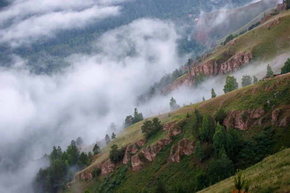 Работа, работа. Перейди на Федота. | Сетка — социальная сеть от hh.ru