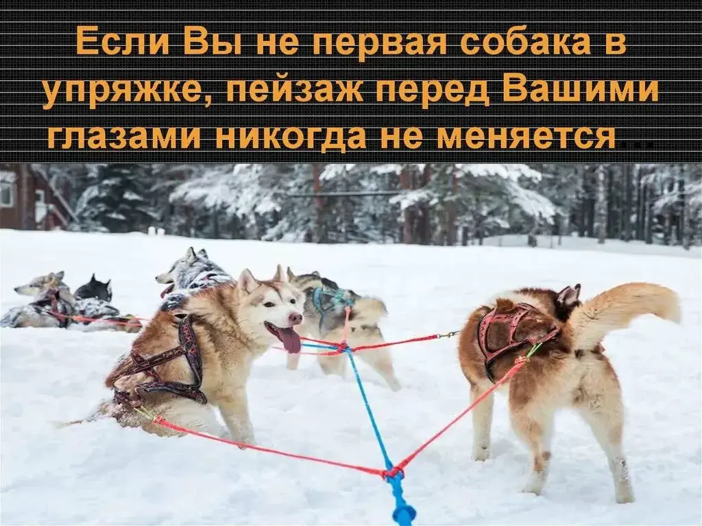 воскресенье! ТАНЦУЮТ ВСЕ | Сетка — социальная сеть от hh.ru
