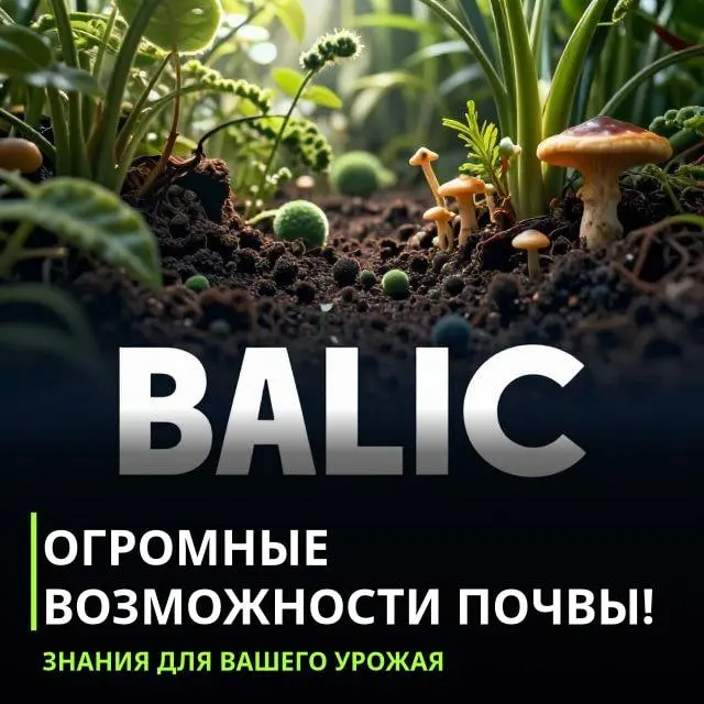 Откройте новый мир органического земледелия. 87% успеха зависит от здоровья почвы! 🌱 Узнайте, как микробы и грибы улучшают ваши растения | Сетка — социальная сеть от hh.ru
