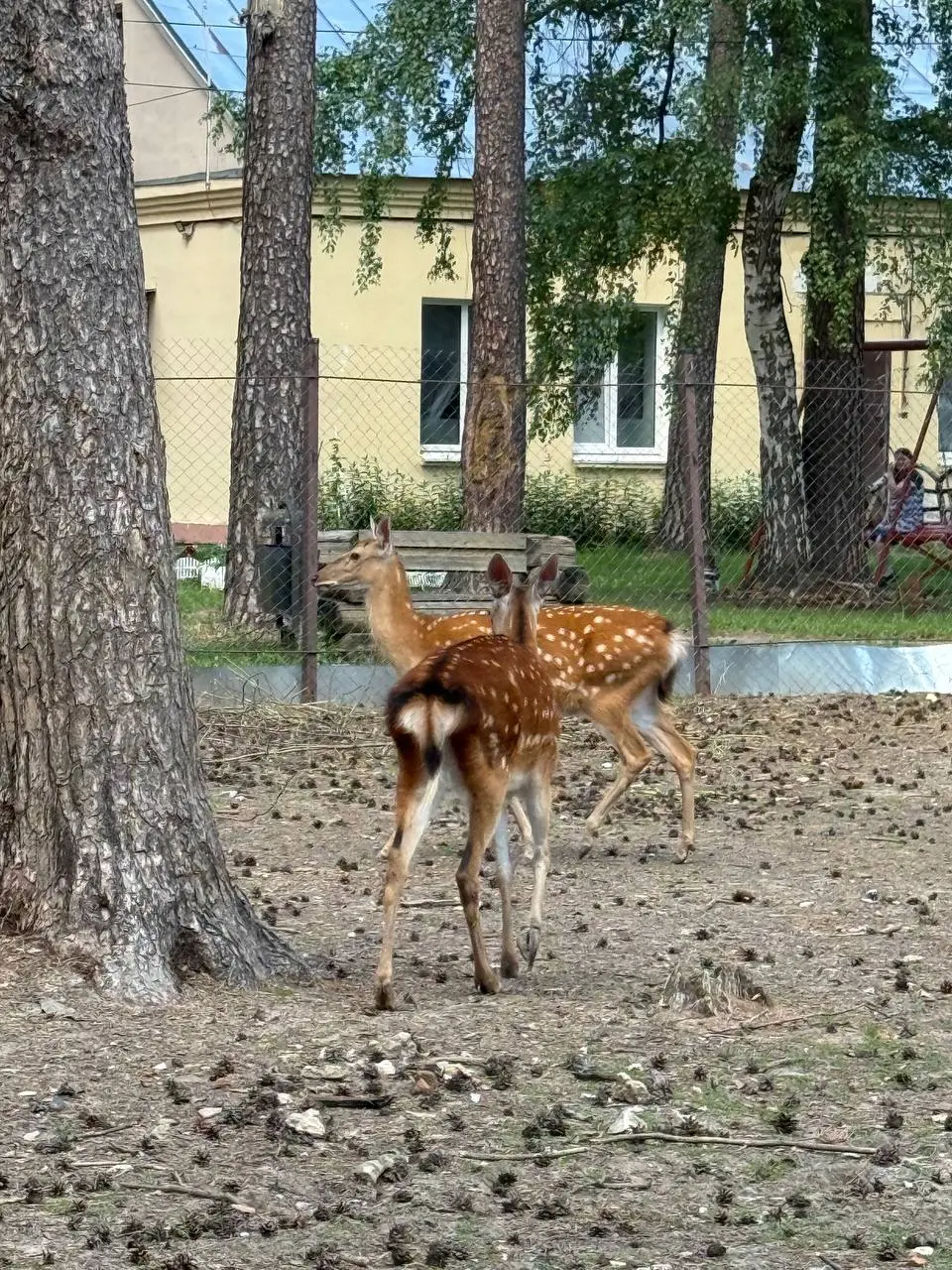 Я всё больше понимаю, что люблю такой отдых. И точно выберу поход на природу вместо концерта 😅
Конечно, иногда хочется куда-то потусоваться, но редко | Сетка — социальная сеть от hh.ru