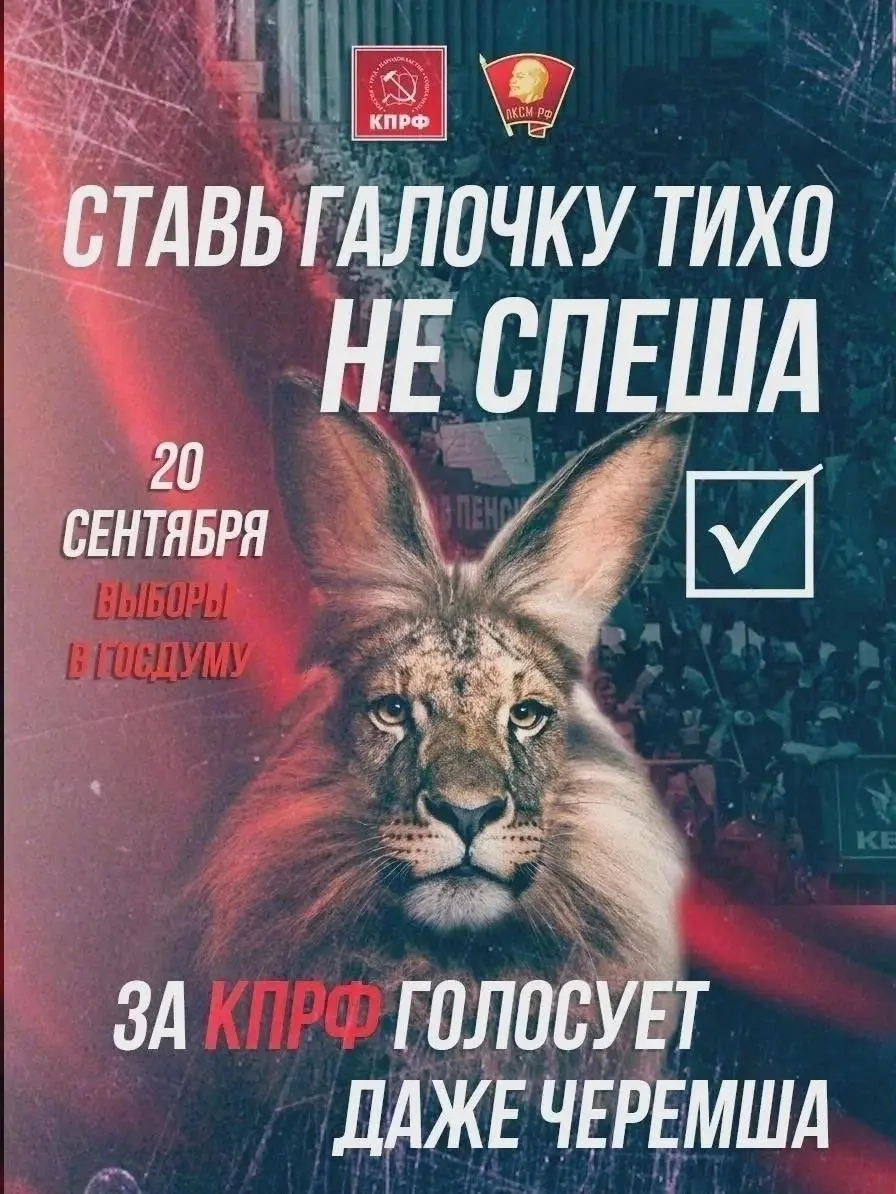 Черемша стала лицом КПРФ на выборах. «Ставь галочку тихо, не спеша». | Сетка — социальная сеть от hh.ru