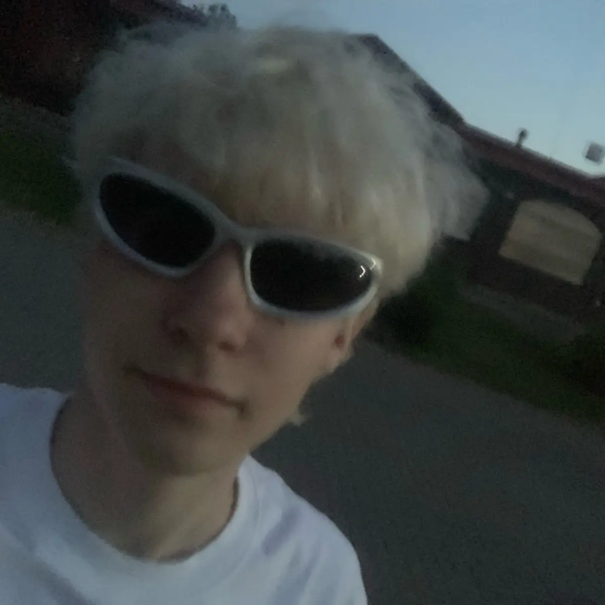 Милан Музыкантов
