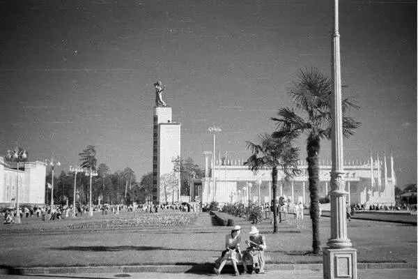 🌴 Пальмы вернулись на ВДНХ спустя почти 90 лет
Этим летом там высадили 10 финиковых пальм — дань историческому облику 1939 года. На зиму они переедут в павильон, чтобы корни не замерзли. | Сетка — социальная сеть от hh.ru