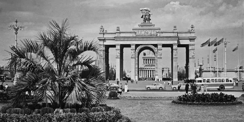 🌴 Пальмы вернулись на ВДНХ спустя почти 90 лет
Этим летом там высадили 10 финиковых пальм — дань историческому облику 1939 года. На зиму они переедут в павильон, чтобы корни не замерзли. | Сетка — социальная сеть от hh.ru