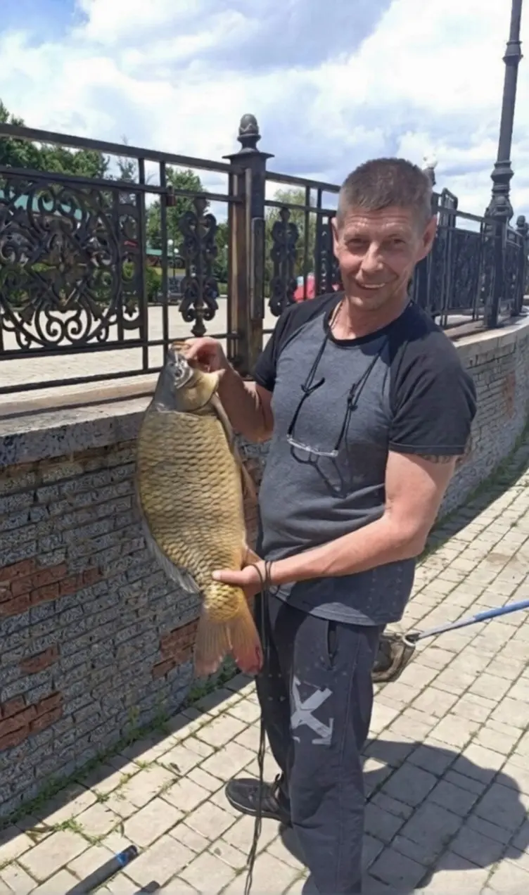 В пруду парка Щербакова был пойман карп на 7 кг | Сетка — социальная сеть от hh.ru