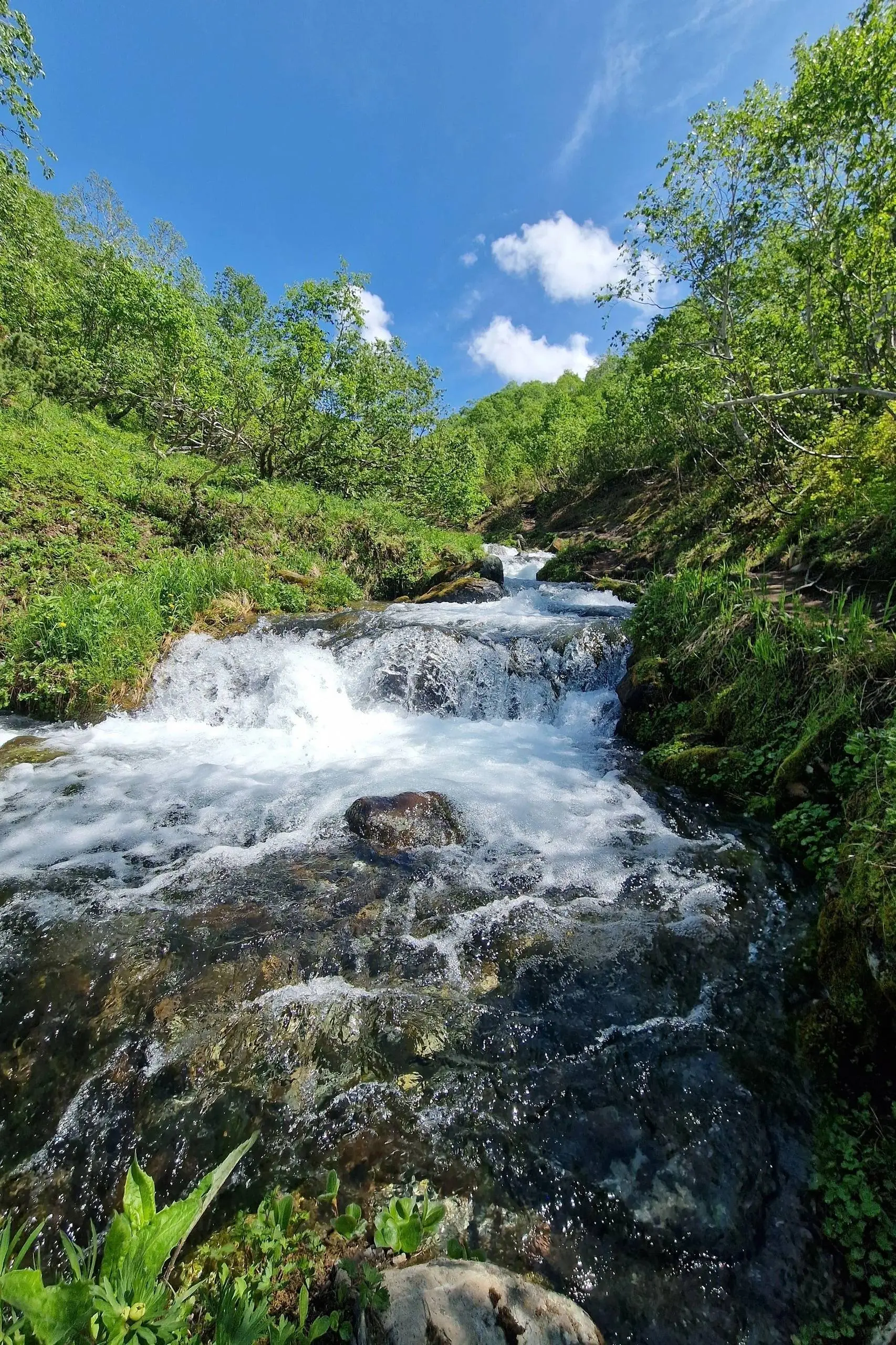 ПО СЛЕДАМ ЛЕДНИКОВОГО ПЕРИОДА: ГОРНЫЙ МАССИВ ВАЧКАЖЕЦ, ВОДОПАДЫ, ВЫСОКОГОРНОЕ ОЗЕРО
Друзья, держите дату в голове: с 15 июля этот маршрут — ваш!
Представьте: вы сидите в мощном внедорожнике, который н... | Сетка — социальная сеть от hh.ru
