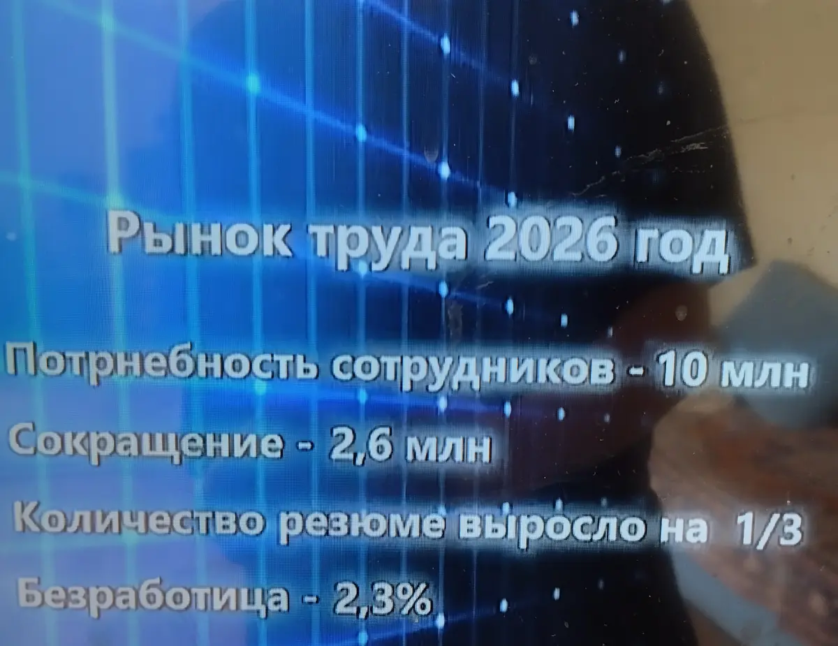 Немного статистики | Сетка — социальная сеть от hh.ru