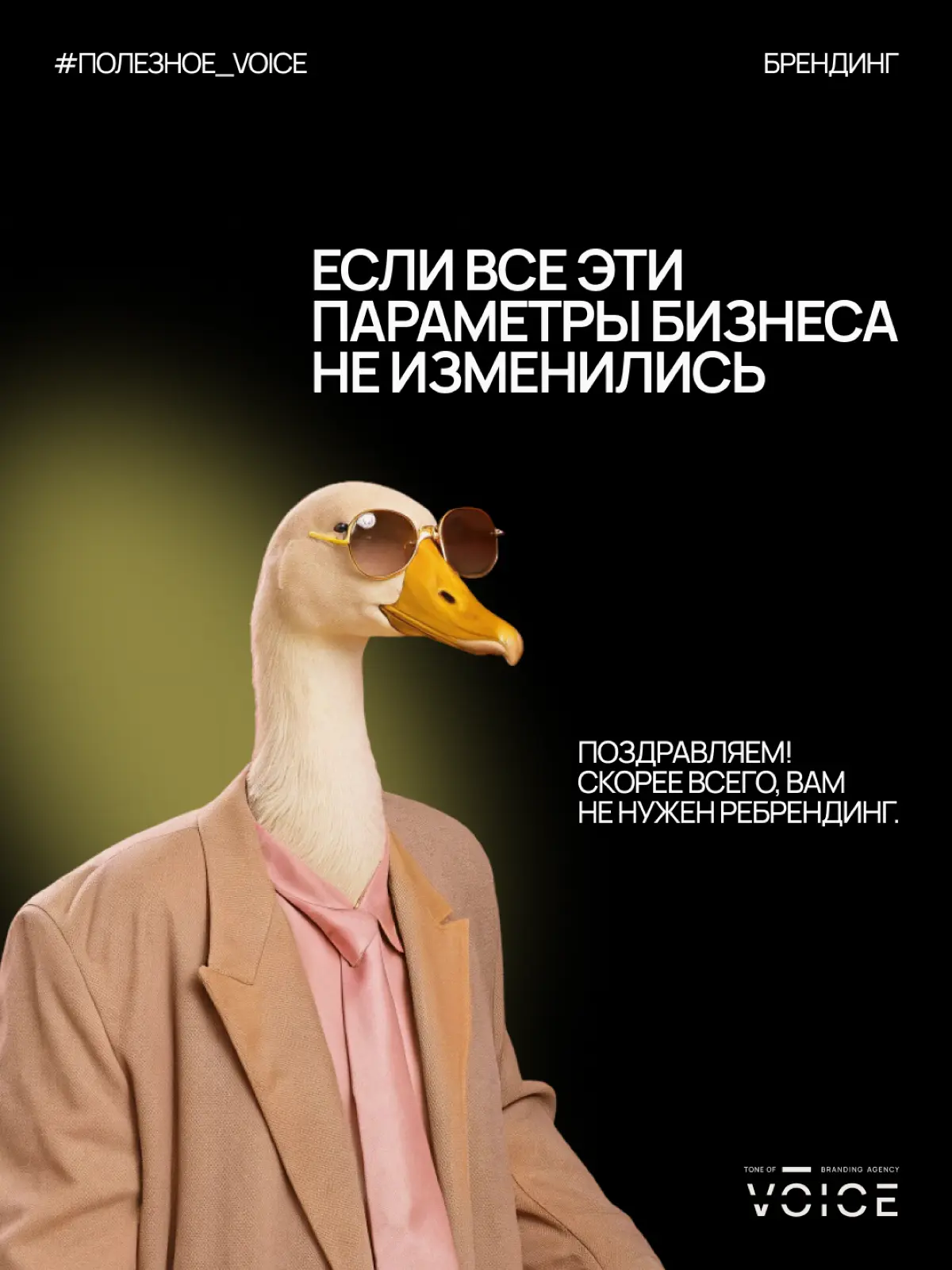 Тот самый злополучный ребрендинг | Сетка — социальная сеть от hh.ru