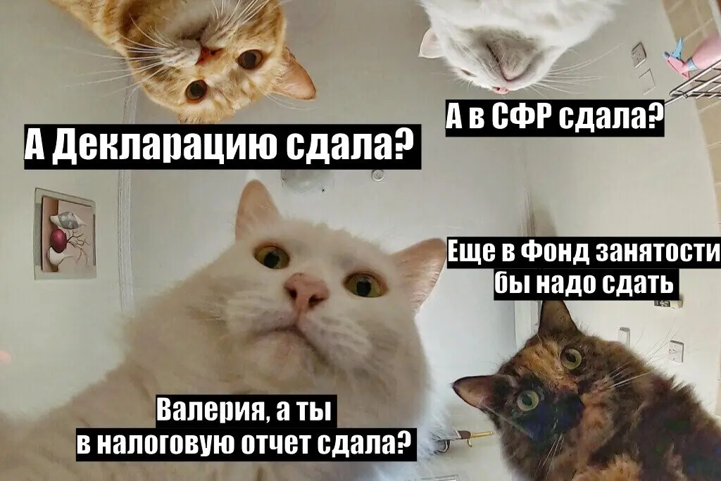 Новости из мира  бизнеса на 29.06.2026 | Сетка — социальная сеть от hh.ru
