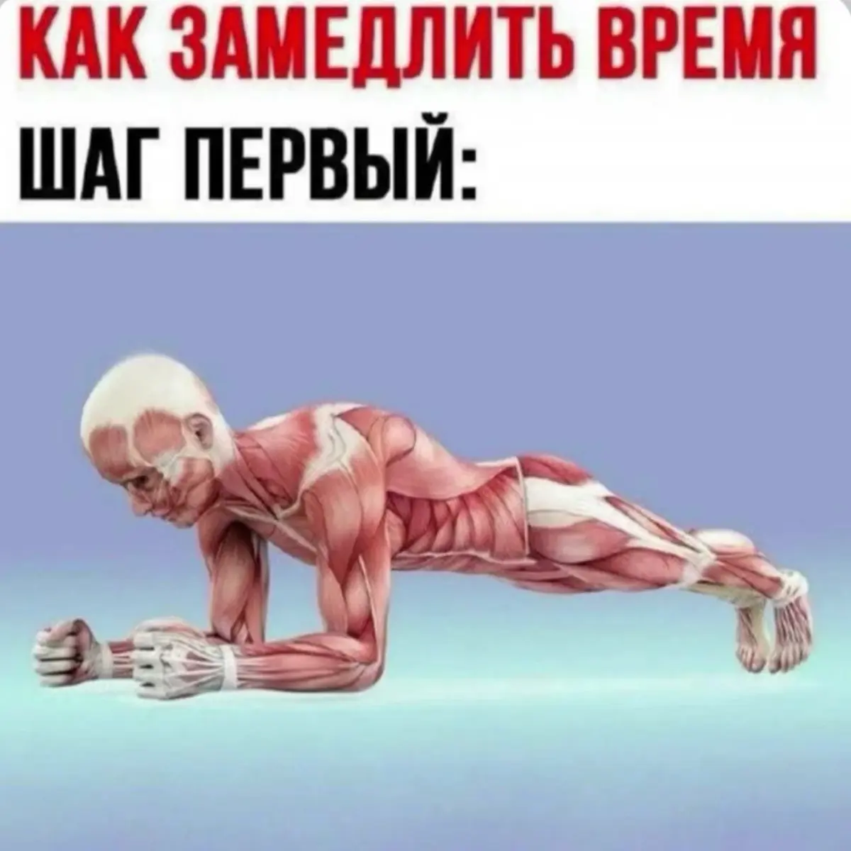 🗜️⏱️ | Сетка — социальная сеть от hh.ru
