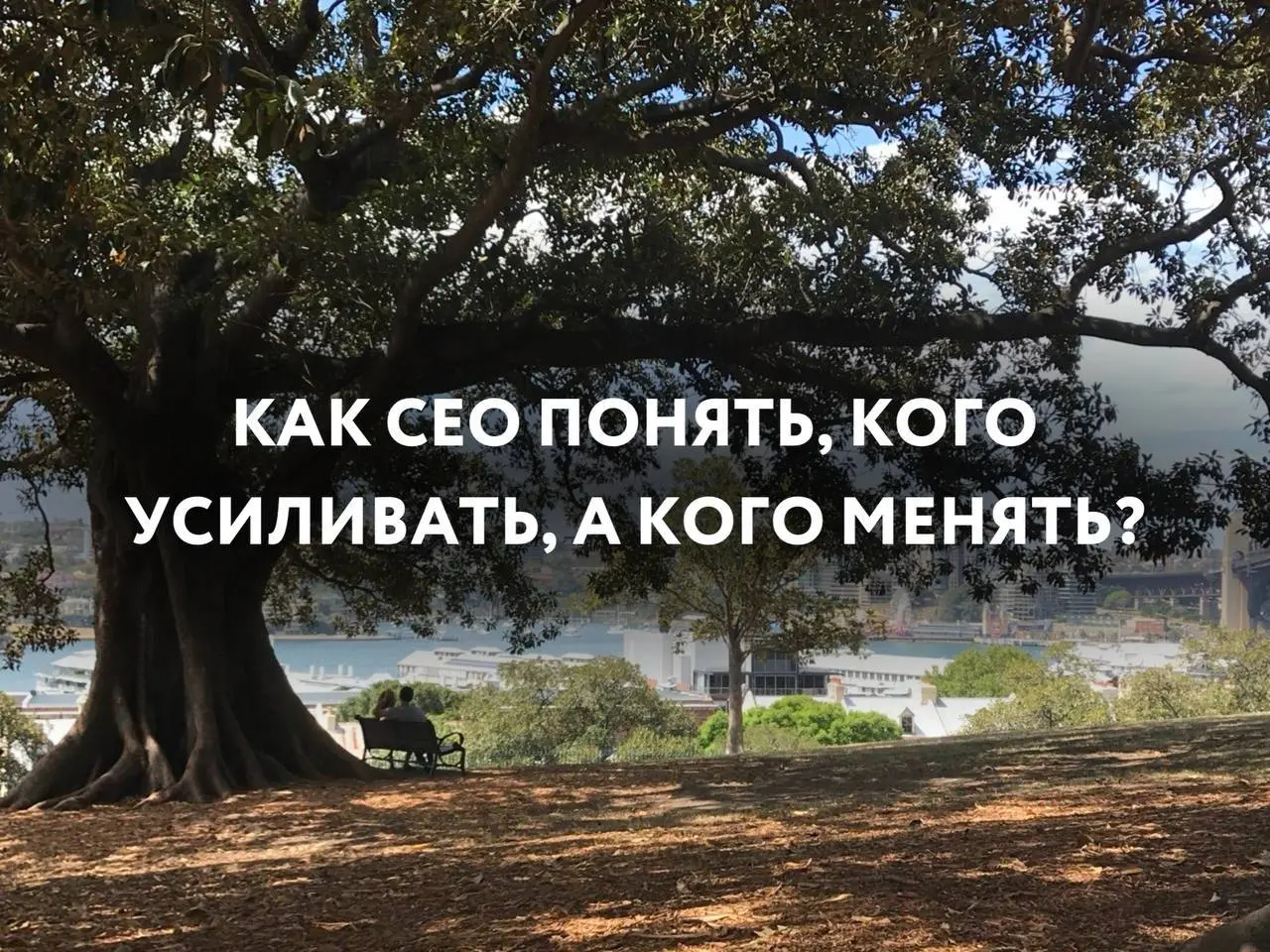 ☄️Как CEO понять, в кого инвестировать, а кого менять?
В этом году я сама как CEO прошла через сложный этап пересборки команды | Сетка — социальная сеть от hh.ru
