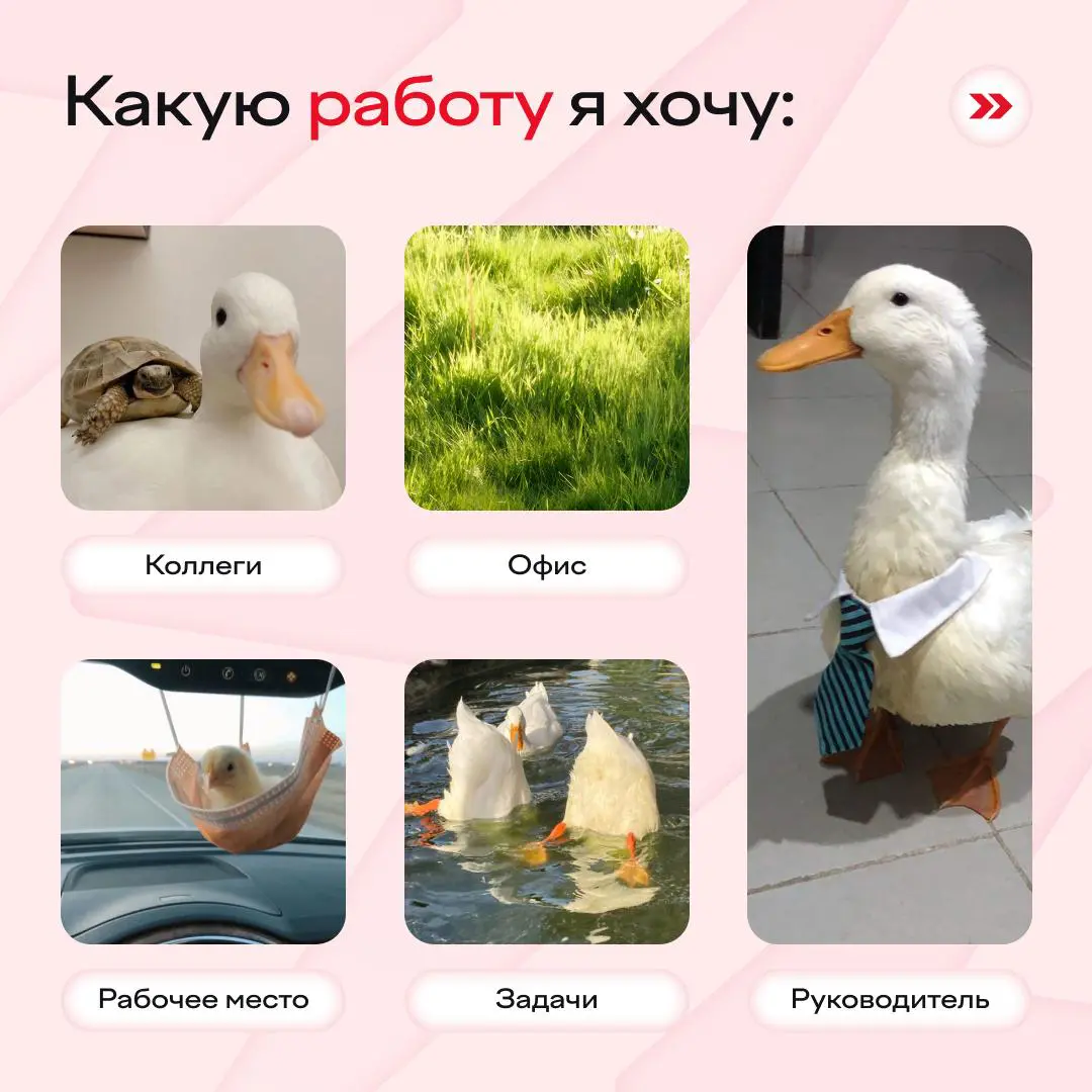 Ходят слухи, что практика в Changellenge >> так и выглядит 🐣
А еще можно отработать знания и навыки на реальных кейсах под руководством ментора, получить сертификат, рекомендательное письмо и зачет пр... | Сетка — социальная сеть от hh.ru