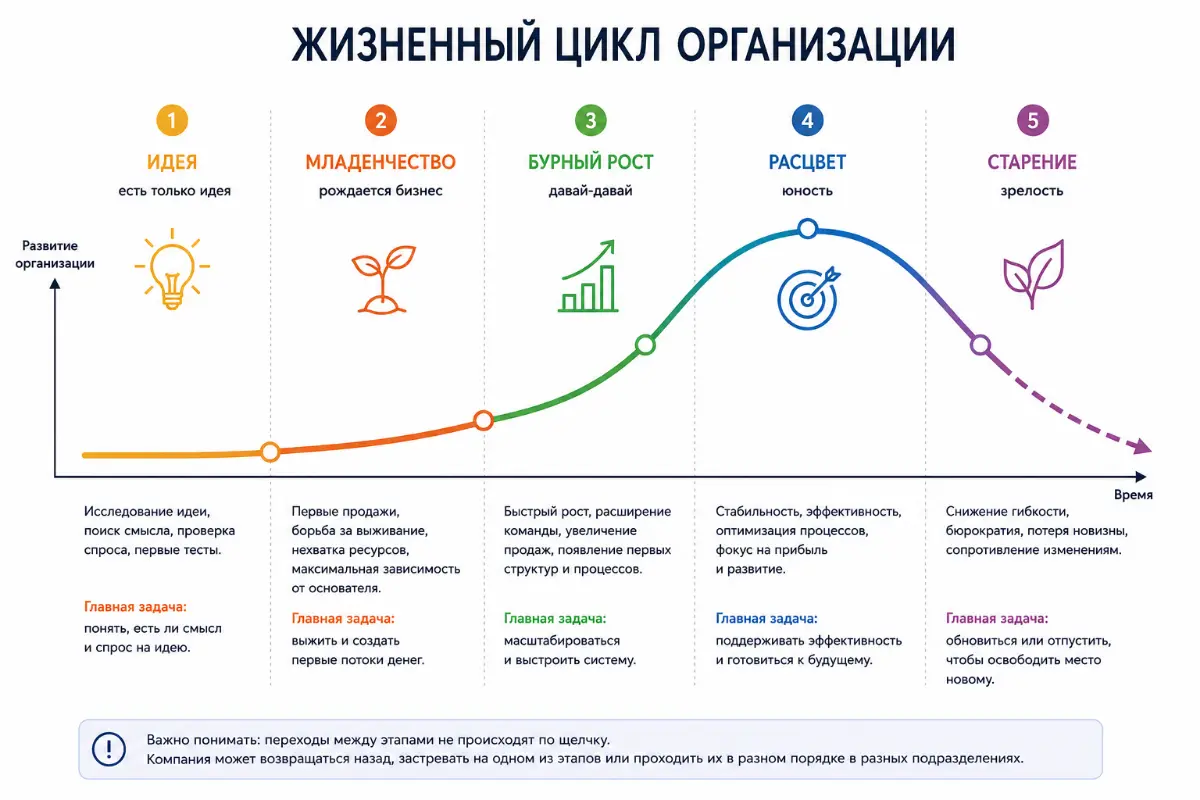 Жизненный цикл организации | Сетка — социальная сеть от hh.ru