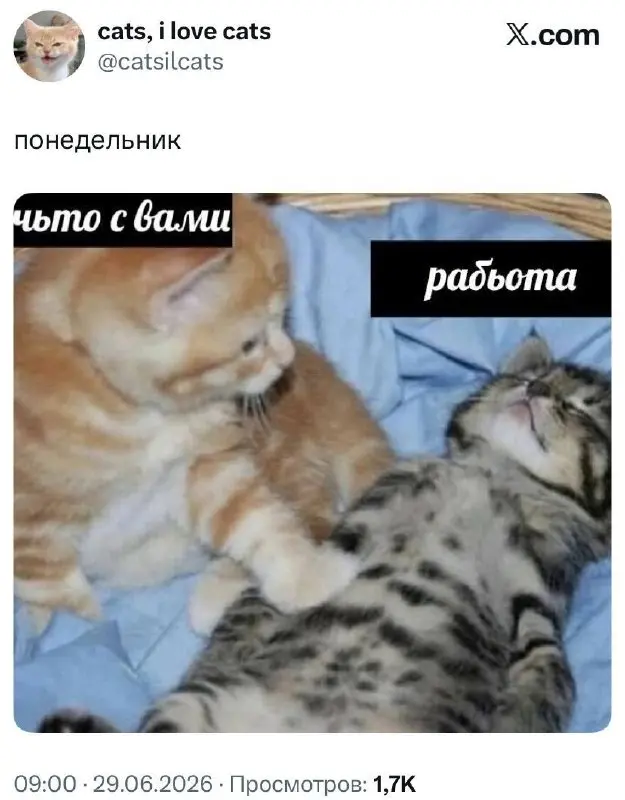 #work | Сетка — социальная сеть от hh.ru