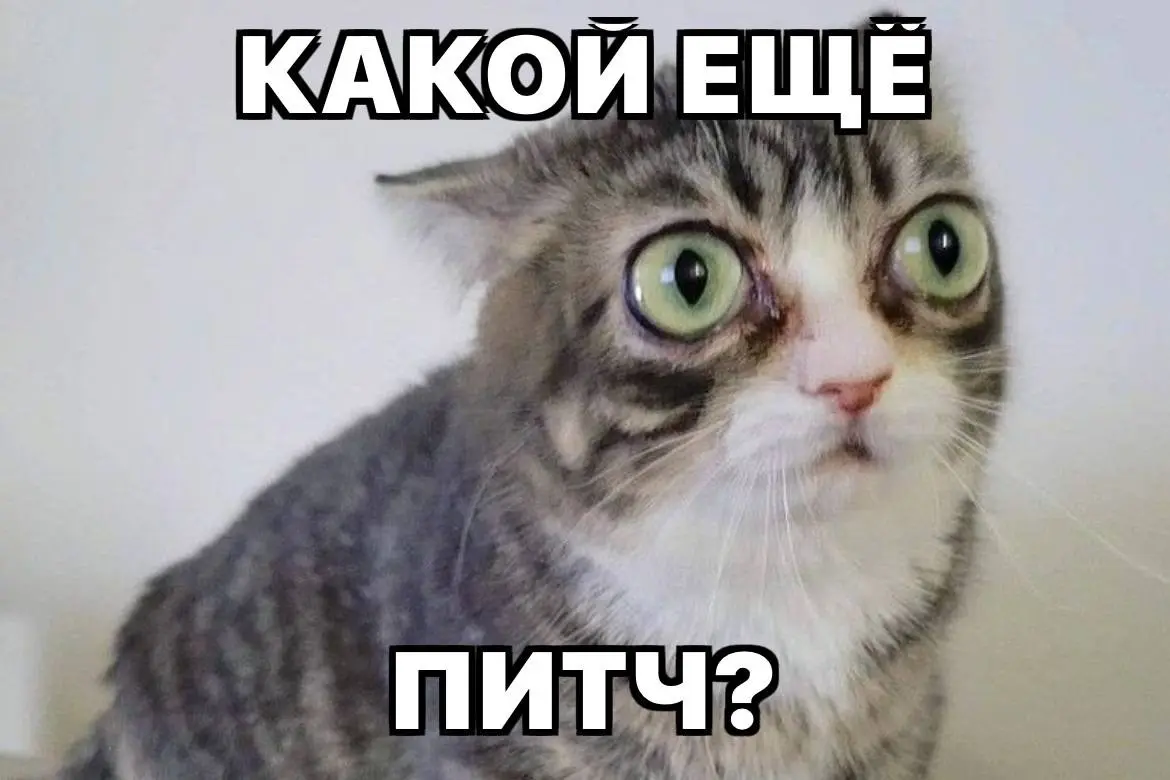 Библиотека приложения пополняется ежедневно — туда попадают как старые, так и новые шаблоны, которые я бережно собираю, отсматриваю, иногда уменьшаю «шакальность» и пишу, откуда взялся мем | Сетка — социальная сеть от hh.ru