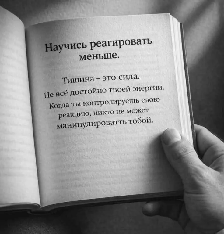 Сетка — социальная сеть от hh.ru