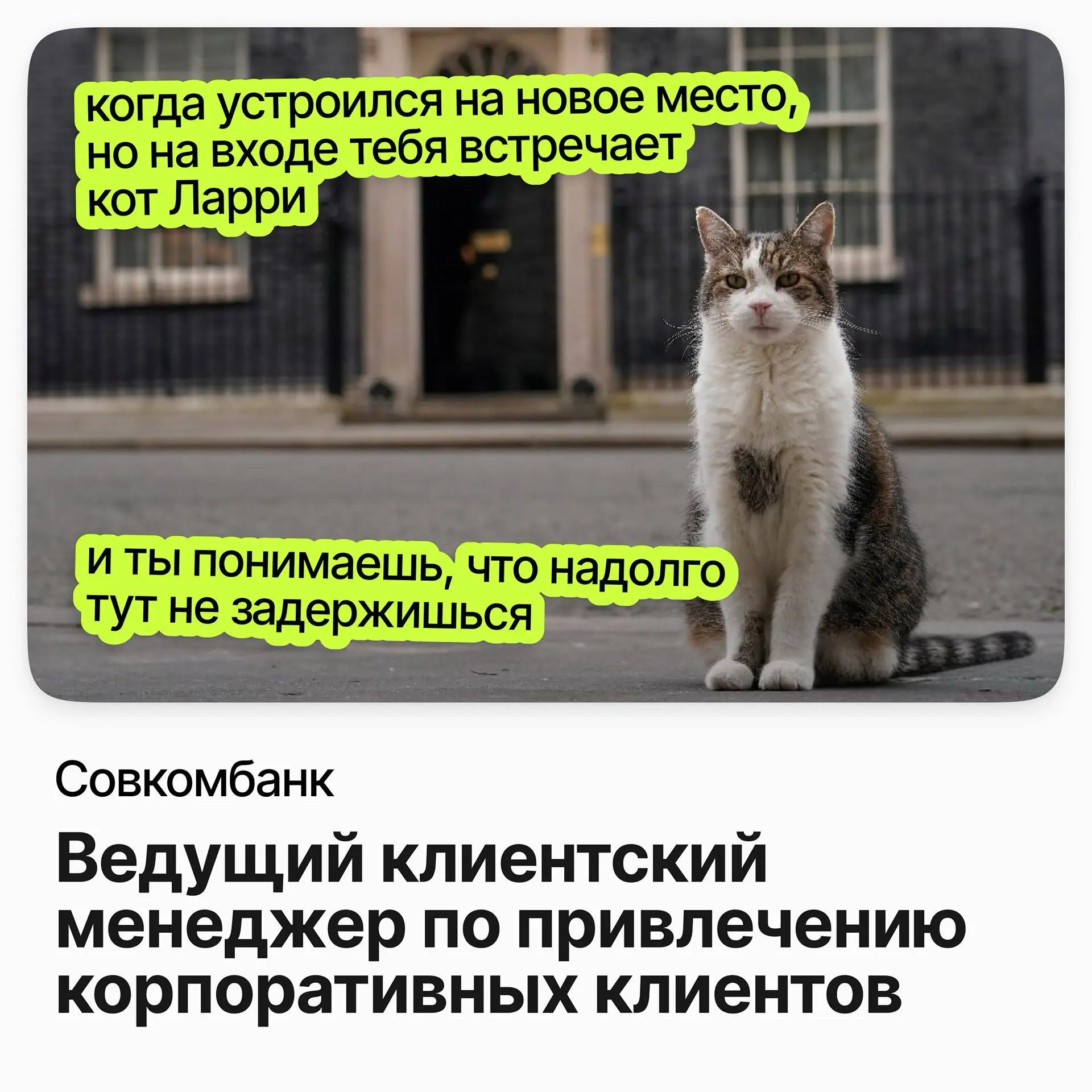 🎯 Ведущий клиентский менеджер по привлечению корпоративных клиентов / Совкомбанк
Совкомбанк — один из крупнейших универсальных банков страны: розница, корпоративный бизнес и собственная экосистема сер... | Сетка — социальная сеть от hh.ru