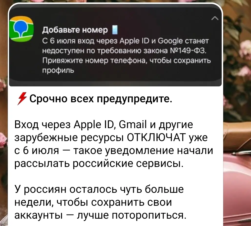 Что за фигня снова происходит ???! | Сетка — социальная сеть от hh.ru