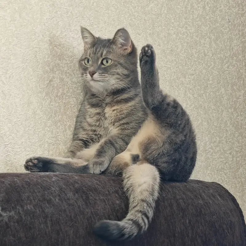 Айдар Ибатуллин