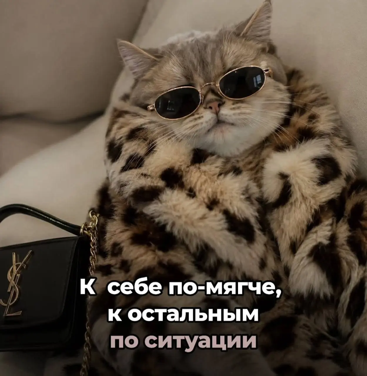 Зависит от обстоятельств 😂
БЛОГ В ТГ / БЛОГ В MAX
#Юмор #Коты
В этом посте были ссылки, но мы их удалили по правилам Сетки | Сетка — социальная сеть от hh.ru