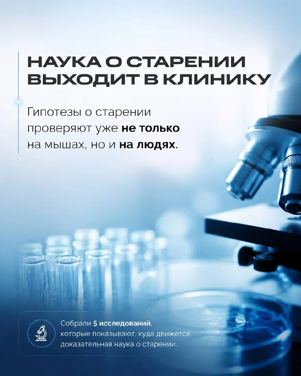 У вас не один возраст, а несколько
Это давно не метафора | Сетка — социальная сеть от hh.ru