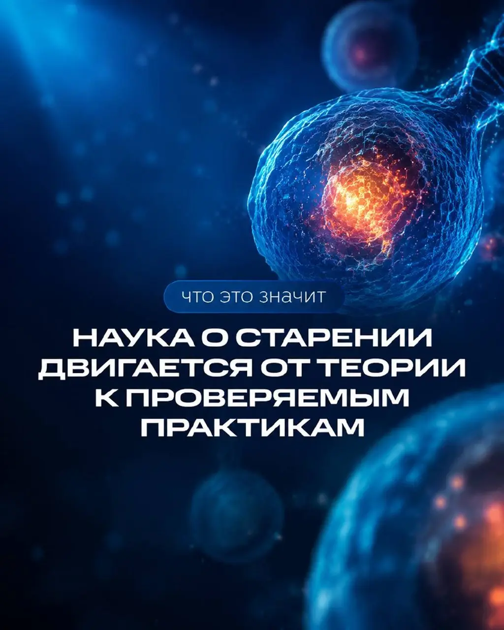 У вас не один возраст, а несколько
Это давно не метафора | Сетка — социальная сеть от hh.ru